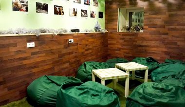 Антикафе Лаки Лори (Lucky Lori) – джунгли с лемуром Антикафе на Арбате – Lucky Lori Village