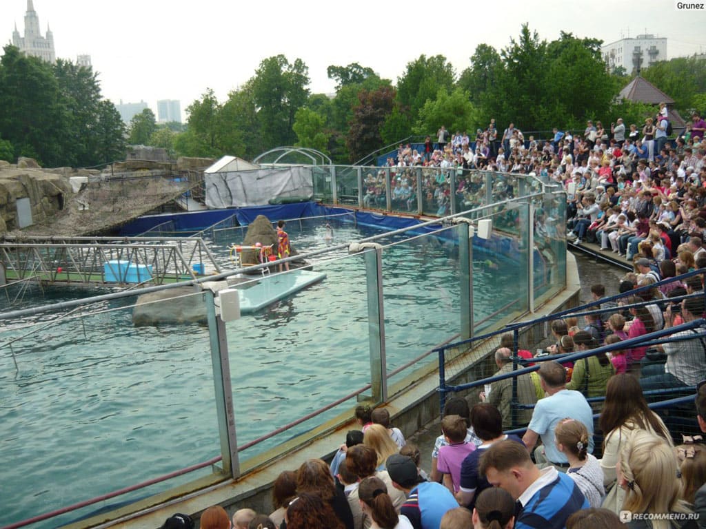 Дельфинарий Московского зоопарка