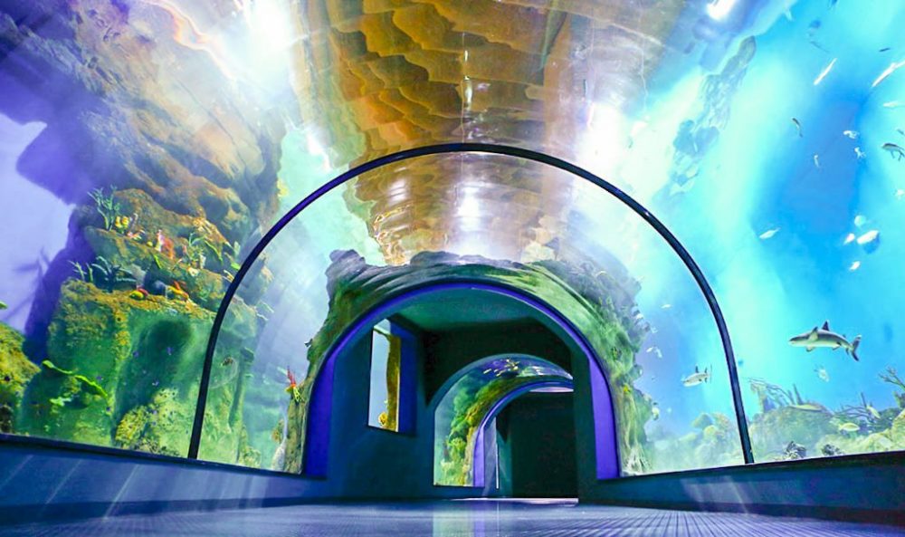 Казанский океанариум фото снаружи и внутри