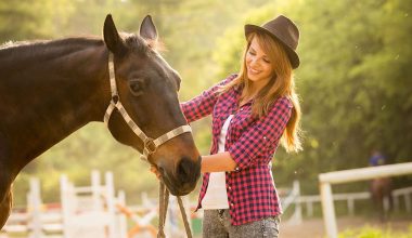 Конные прогулки в Москве – где покататься на лошадях 2021 Конные прогулки в Москве – где покататься на лошадях