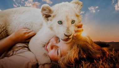 Лучшие детские фильмы – 44 классных фильма для детей Лучшие детские фильмы – 44 классных фильма для детей