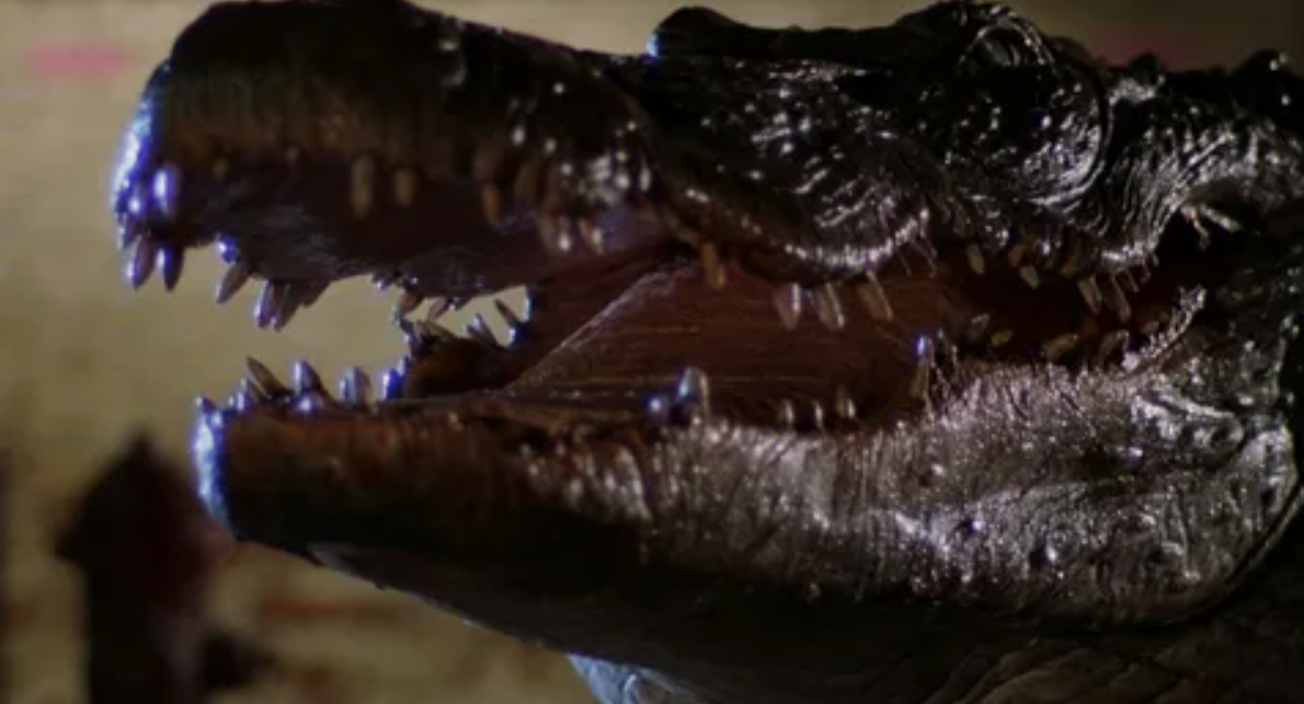 Фильмы ужасов про крокодилов