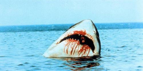 Фильмы ужасов про акул. Часть 2